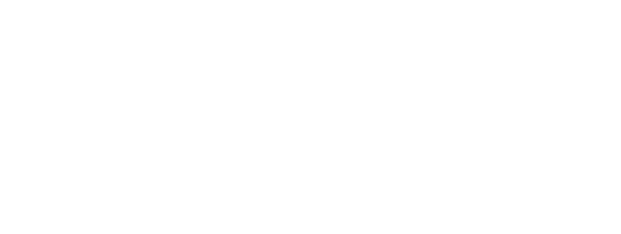CRT Zoo Logotype